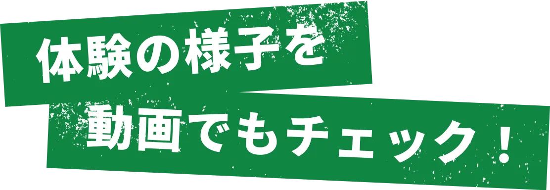 体験の様子を体験の様子を動画でもチェック！